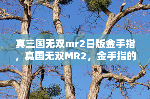 真三国无双mr2日版金手指，真国无双MR2，金手指的奥秘与实战应用