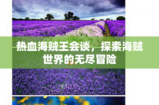 热血海贼王会谈,探索海贼世界的无尽冒险 热血海贼王会谈,探索海贼世界的无尽冒险