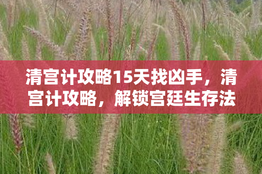 清宫计攻略15天找凶手，清宫计攻略，解锁宫廷生存法则