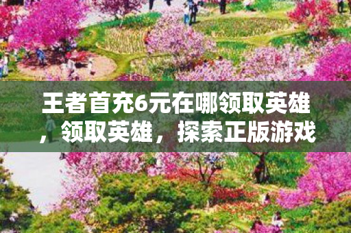 王者首充6元在哪领取英雄，领取英雄，探索正版游戏的魅力与无限可能