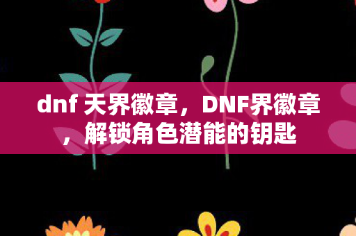 dnf 天界徽章，DNF界徽章，解锁角色潜能的钥匙