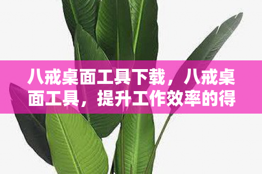 八戒桌面工具下载，八戒桌面工具，提升工作效率的得力助手