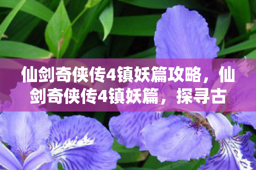 仙剑奇侠传4镇妖篇攻略，仙剑奇侠传4镇妖篇，探寻古老传说与神秘妖塔的奇幻之旅