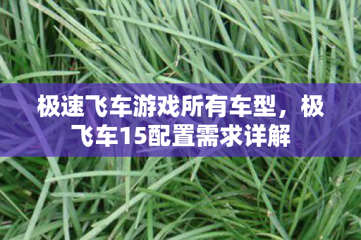 极速飞车游戏所有车型，极飞车15配置需求详解