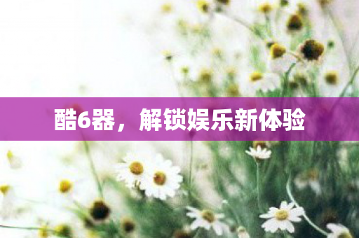 酷6器，解锁娱乐新体验