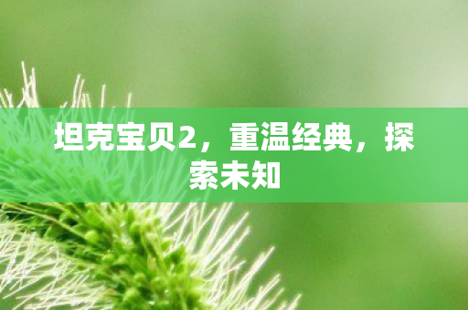 坦克宝贝2,重温经典,探索未知 坦克宝贝2,重温经典,探索未知