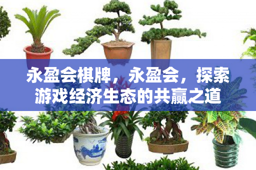 永盈会棋牌，永盈会，探索游戏经济生态的共赢之道