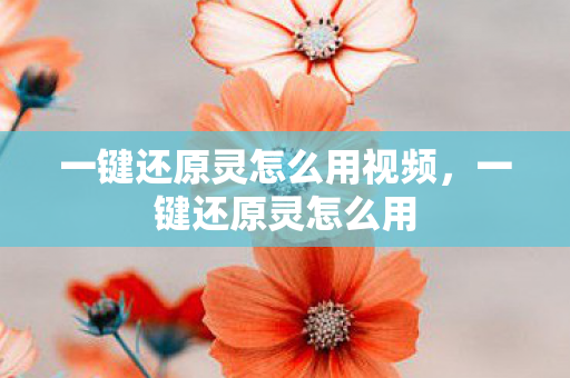 一键还原灵怎么用视频，一键还原灵怎么用