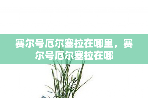 赛尔号厄尔塞拉在哪里,赛尔号厄尔塞拉在哪 赛尔号厄尔塞拉在哪里,赛尔号厄尔塞拉在哪