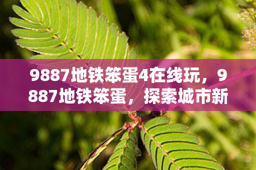 9887地铁笨蛋4在线玩，9887地铁笨蛋，探索城市新生活的便捷方式