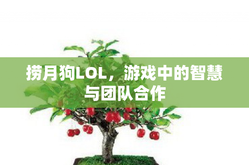 捞月狗LOL,游戏中的智慧与团队合作 捞月狗LOL,游戏中的智慧与团队合作