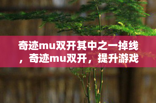奇迹mu双开其中之一掉线，奇迹mu双开，提升游戏体验的实用技巧