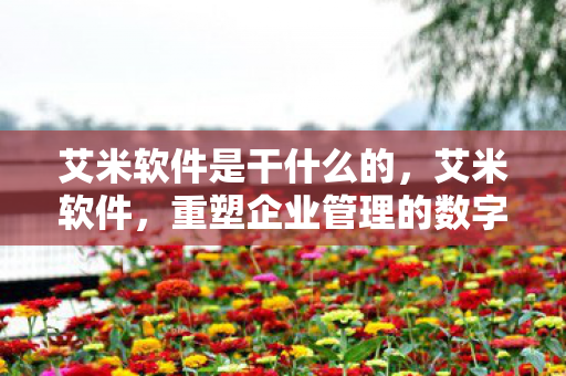 艾米软件是干什么的，艾米软件，重塑企业管理的数字化新篇章