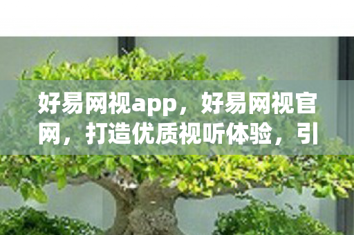好易网视app，好易网视官网，打造优质视听体验，引领数字娱乐新风尚