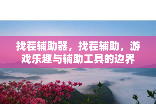 找茬辅助器，找茬辅助，游戏乐趣与辅助工具的边界