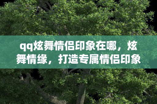 qq炫舞情侣印象在哪，炫舞情缘，打造专属情侣印象，共舞浪漫乐章