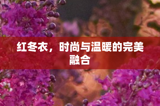 红冬衣，时尚与温暖的完美融合