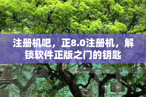 注册机吧，正8.0注册机，解锁软件正版之门的钥匙