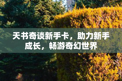 天书奇谈新手卡,助力新手成长,畅游奇幻世界 天书奇谈新手卡,助力新手成长,畅游奇幻世界
