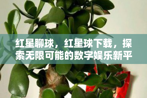 红星聊球，红星球下载，探索无限可能的数字娱乐新平台