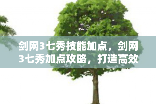 剑网3七秀技能加点，剑网3七秀加点攻略，打造高效战斗与优雅输出的平衡