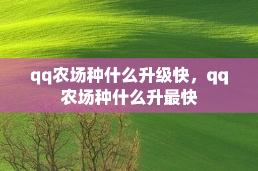 qq农场种什么升级快，qq农场种什么升最快