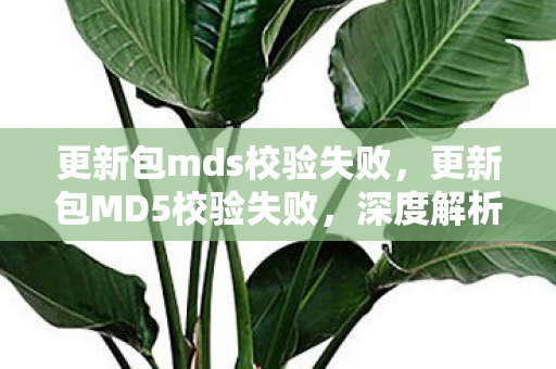 更新包mds校验失败，更新包MD5校验失败，深度解析与应对策略