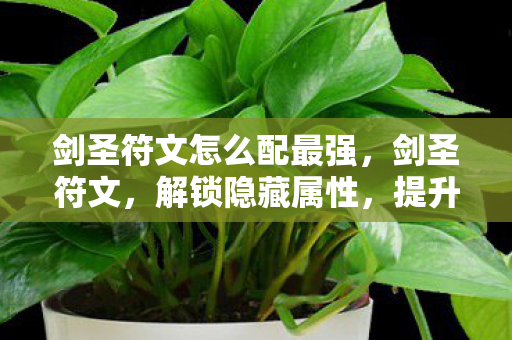 剑圣符文怎么配最强，剑圣符文，解锁隐藏属性，提升战斗力的关键