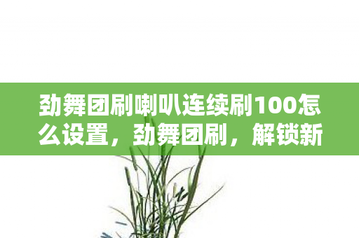 劲舞团刷喇叭连续刷100怎么设置，劲舞团刷，解锁新玩法，挑战自我极限