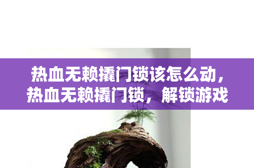 热血无赖撬门锁该怎么动，热血无赖撬门锁，解锁游戏世界的冒险之旅
