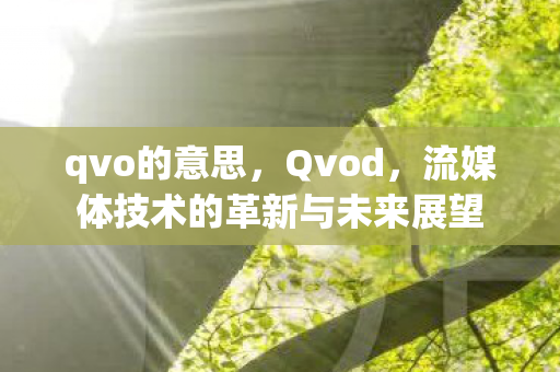qvo的意思，Qvod，流媒体技术的革新与未来展望