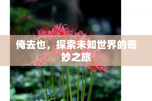 俺去也，探索未知世界的奇妙之旅