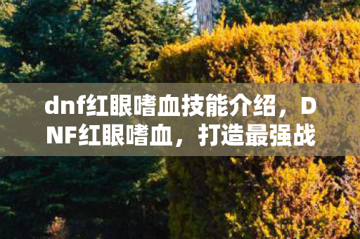dnf红眼嗜血技能介绍，DNF红眼嗜血，打造最强战斗力的秘诀