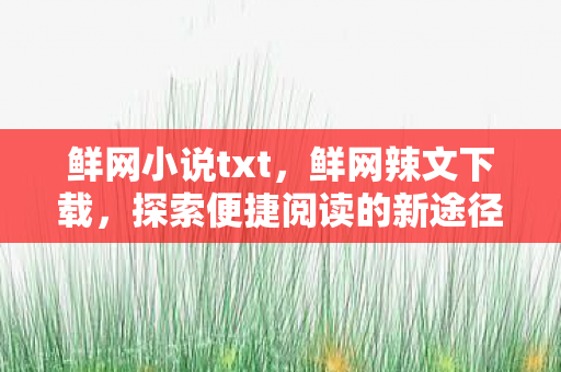 鲜网小说txt，鲜网辣文下载，探索便捷阅读的新途径