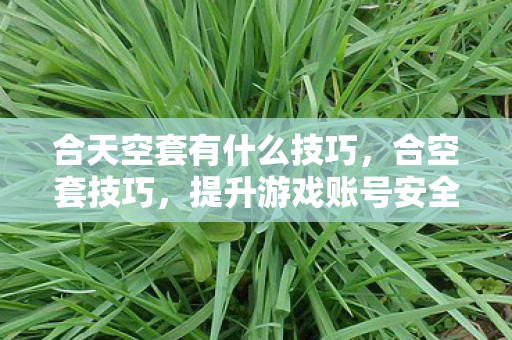 合天空套有什么技巧,合空套技巧,提升游戏账号安全性的实用指南 合天空套有什么技巧,合空套技巧,提升游戏账号安全性的实用指南