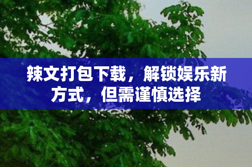 辣文打包下载,解锁娱乐新方式,但需谨慎选择 辣文打包下载,解锁娱乐新方式,但需谨慎选择