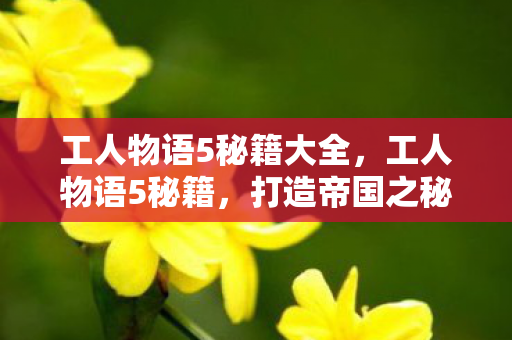 工人物语5秘籍大全，工人物语5秘籍，打造帝国之秘