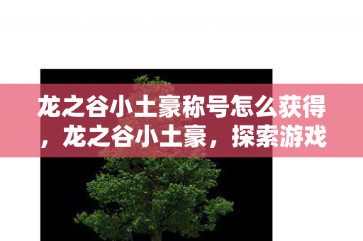 龙之谷小土豪称号怎么获得，龙之谷小土豪，探索游戏内外的财富之路