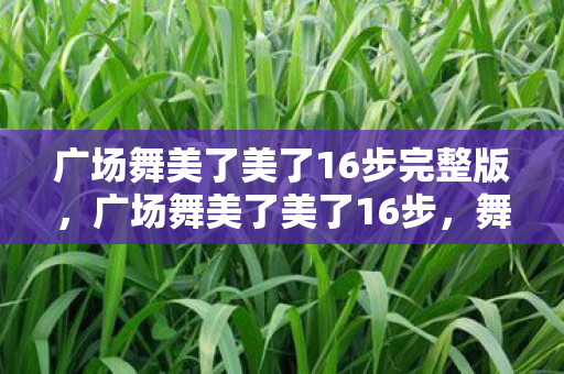 广场舞美了美了16步完整版，广场舞美了美了16步，舞动生活的美好旋律