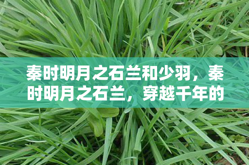 秦时明月之石兰和少羽，秦时明月之石兰，穿越千年的美丽传说