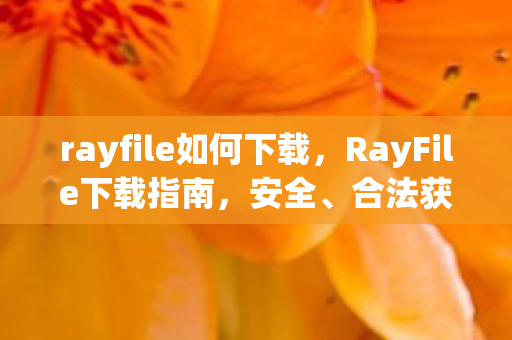 rayfile如何下载，RayFile下载指南，安全、合法获取资源