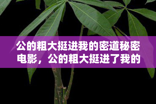 公的粗大挺进我的密道秘密电影，公的粗大挺进了我的密道