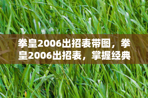 拳皇2006出招表带图，拳皇2006出招表，掌握经典格斗游戏的精髓