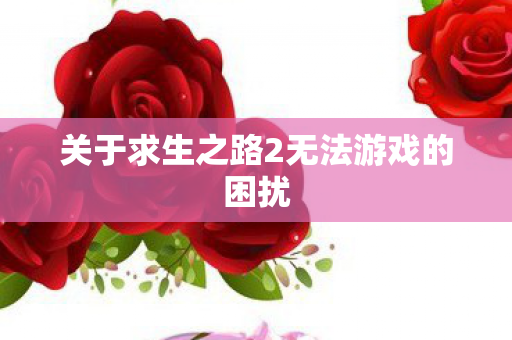 关于求生之路2无法游戏的困扰