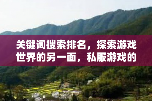 关键词搜索排名，探索游戏世界的另一面，私服游戏的兴起与影响