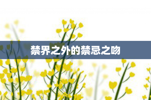 禁界之外的禁忌之吻