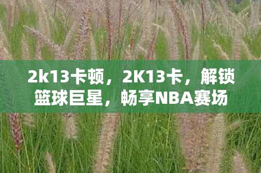 2k13卡顿，2K13卡，解锁篮球巨星，畅享NBA赛场