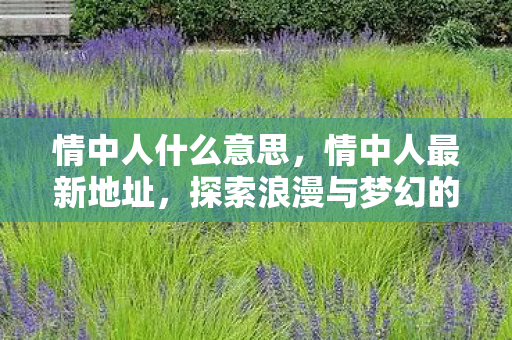 情中人什么意思，情中人最新地址，探索浪漫与梦幻的虚拟世界