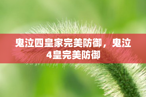 鬼泣四皇家完美防御，鬼泣4皇完美防御