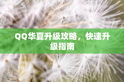 QQ华夏升级攻略，快速升级指南